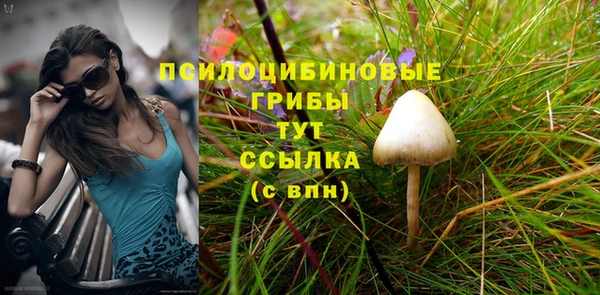 a pvp Абинск