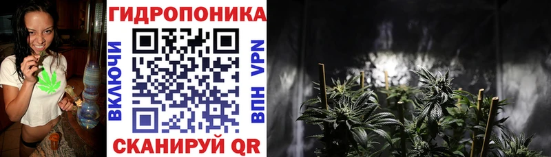 это как зайти  Терек  Марихуана гибрид 